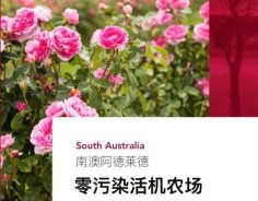 澳洲高端美妝品牌Jurlique茱莉蔻，成功入駐圣悅詩國際連鎖系統(tǒng)
